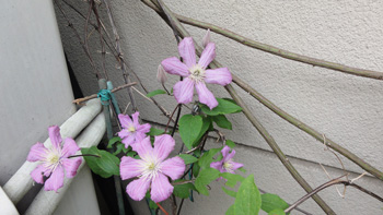 DSC02939 DSC02939