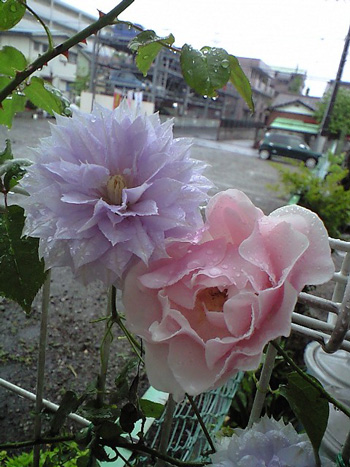 CA3A0332 CA3A0332