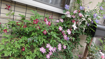 DSC02925 DSC02925