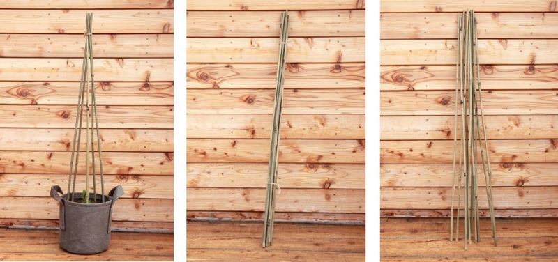 クレマチス新着情報 鉢植えに便利な竹支柱の販売開始 3 13